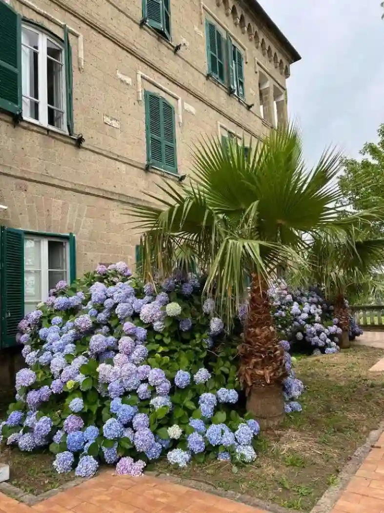 Palazzo - Edificio - foto 2