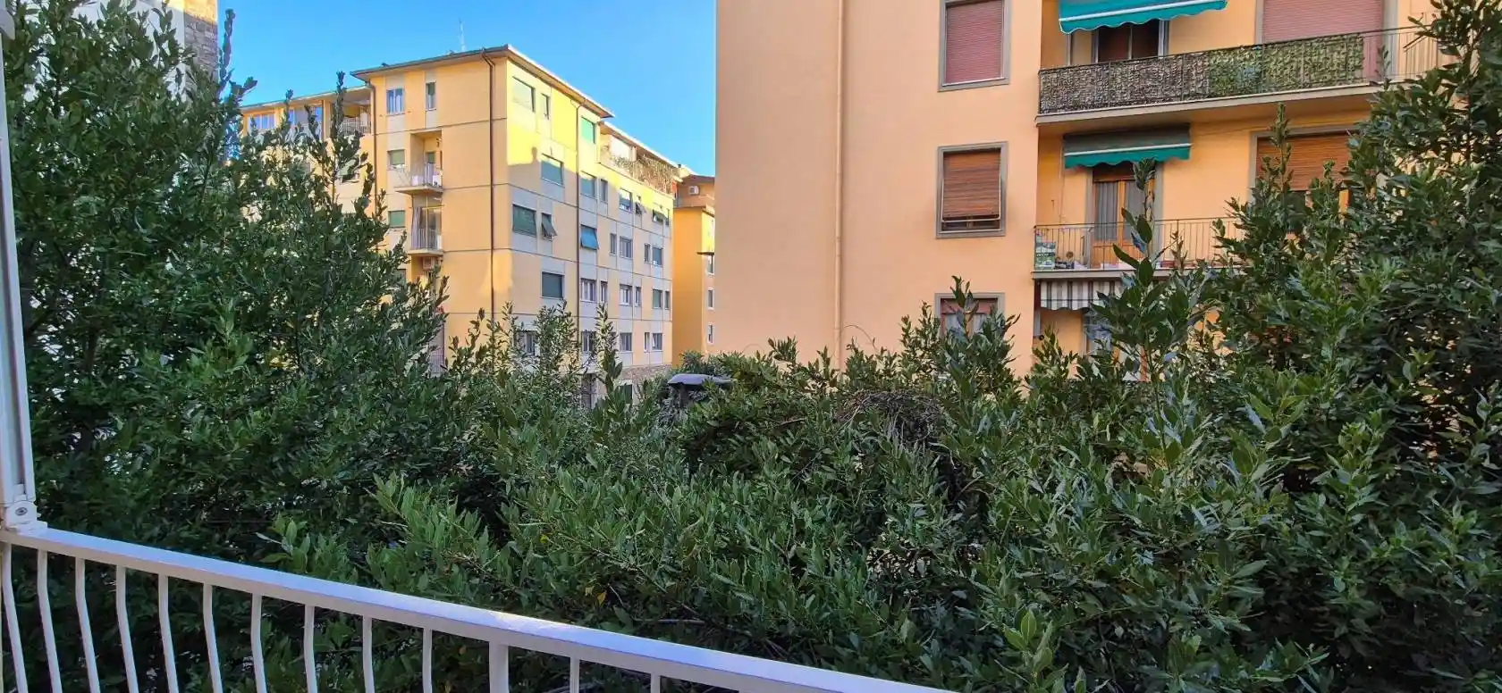 Appartamento in affitto a Firenze