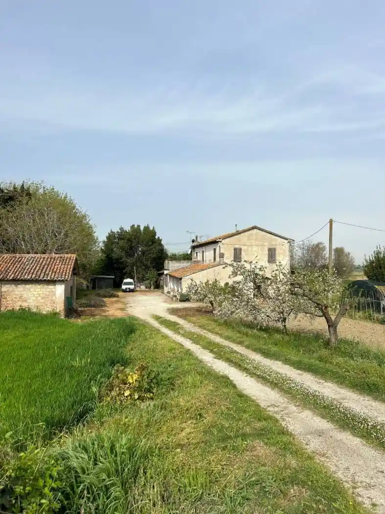 Rustico - Casale in vendita a Savignano sul Rubicone