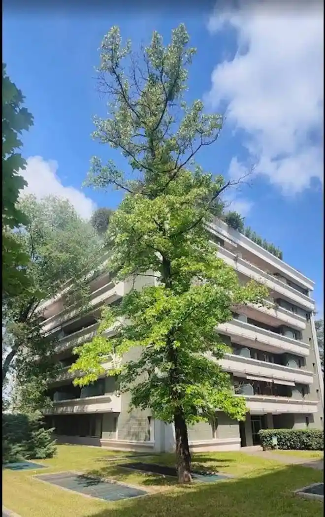 Appartamento in affitto a Padova
