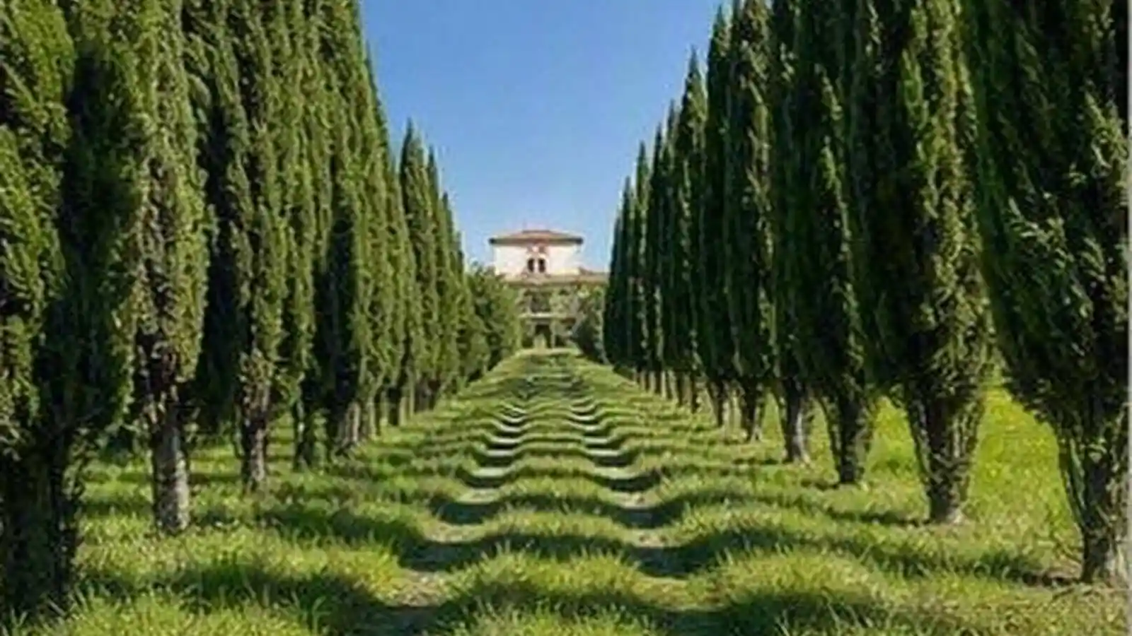 Villa in vendita a Foiano della Chiana