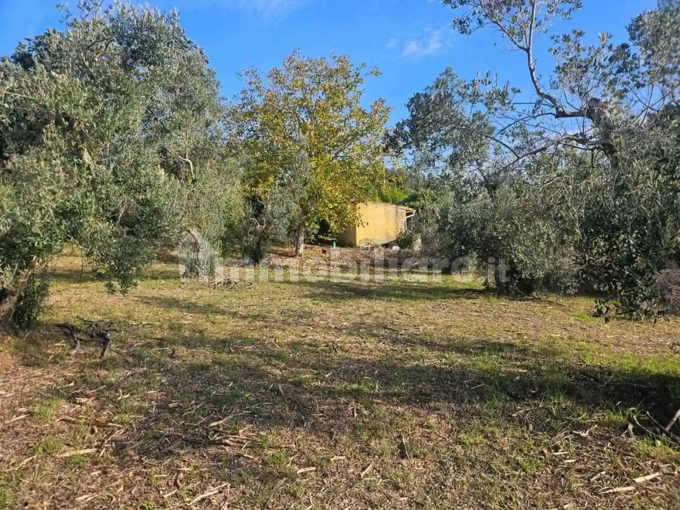 Rustico - Casale in vendita a Rosignano Marittimo