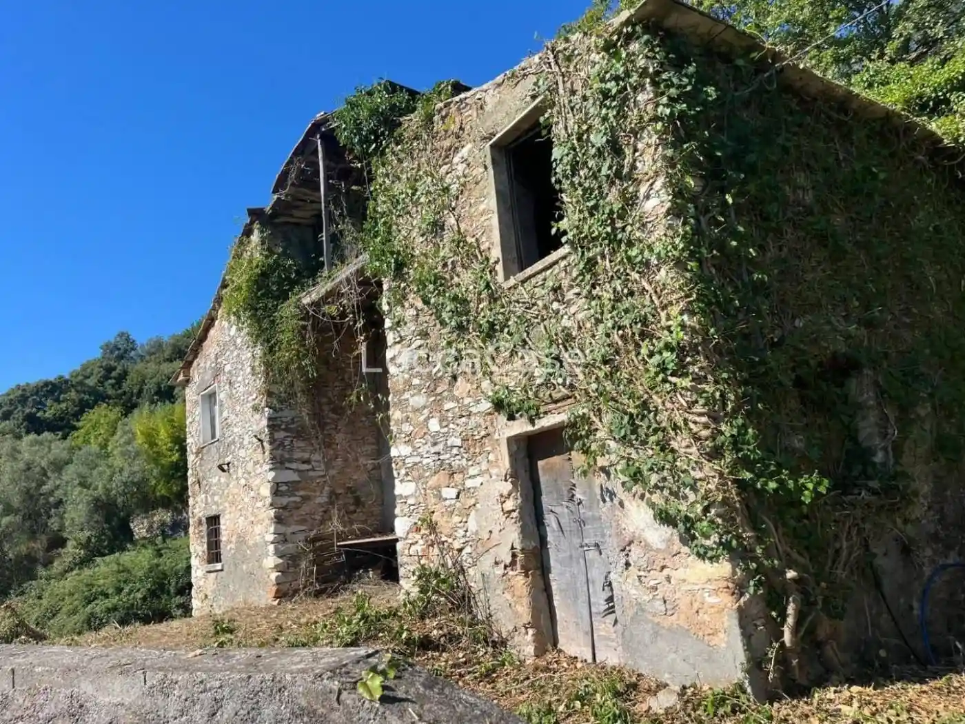 Rustico - Casale in vendita a Seravezza