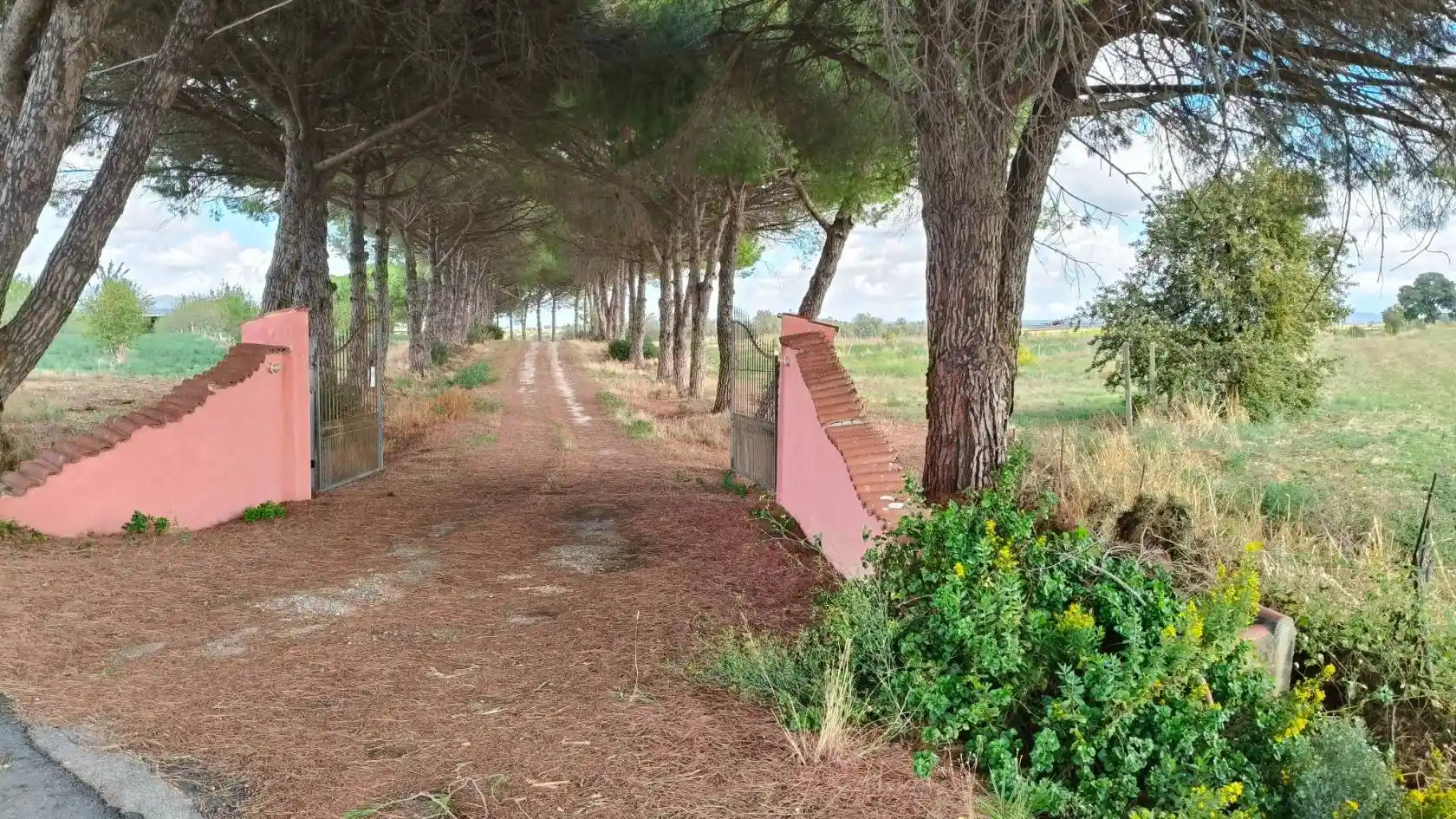 Villa in vendita a Montalto di Castro