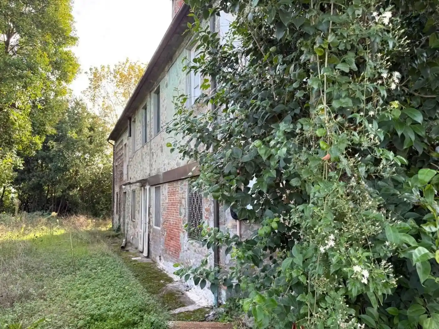 Casa indipendente in vendita a Capannori