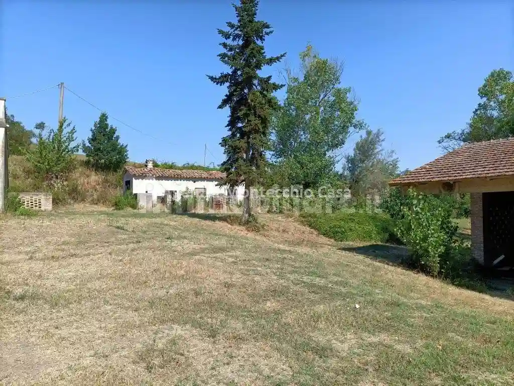Rustico - Casale - foto 5