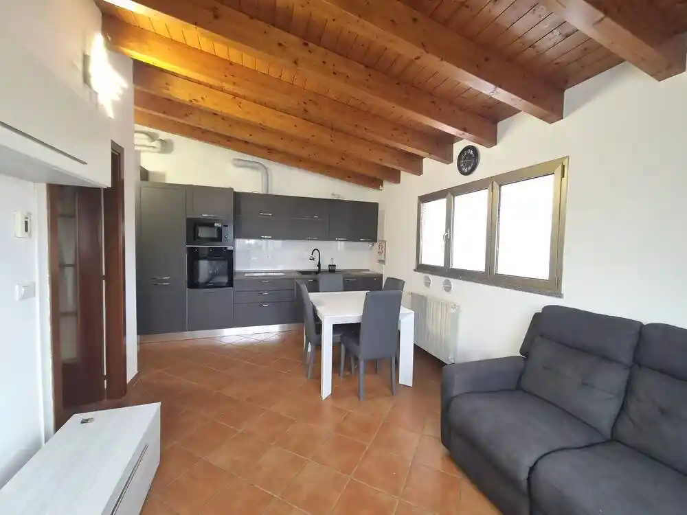 Appartamento in affitto a Segrate