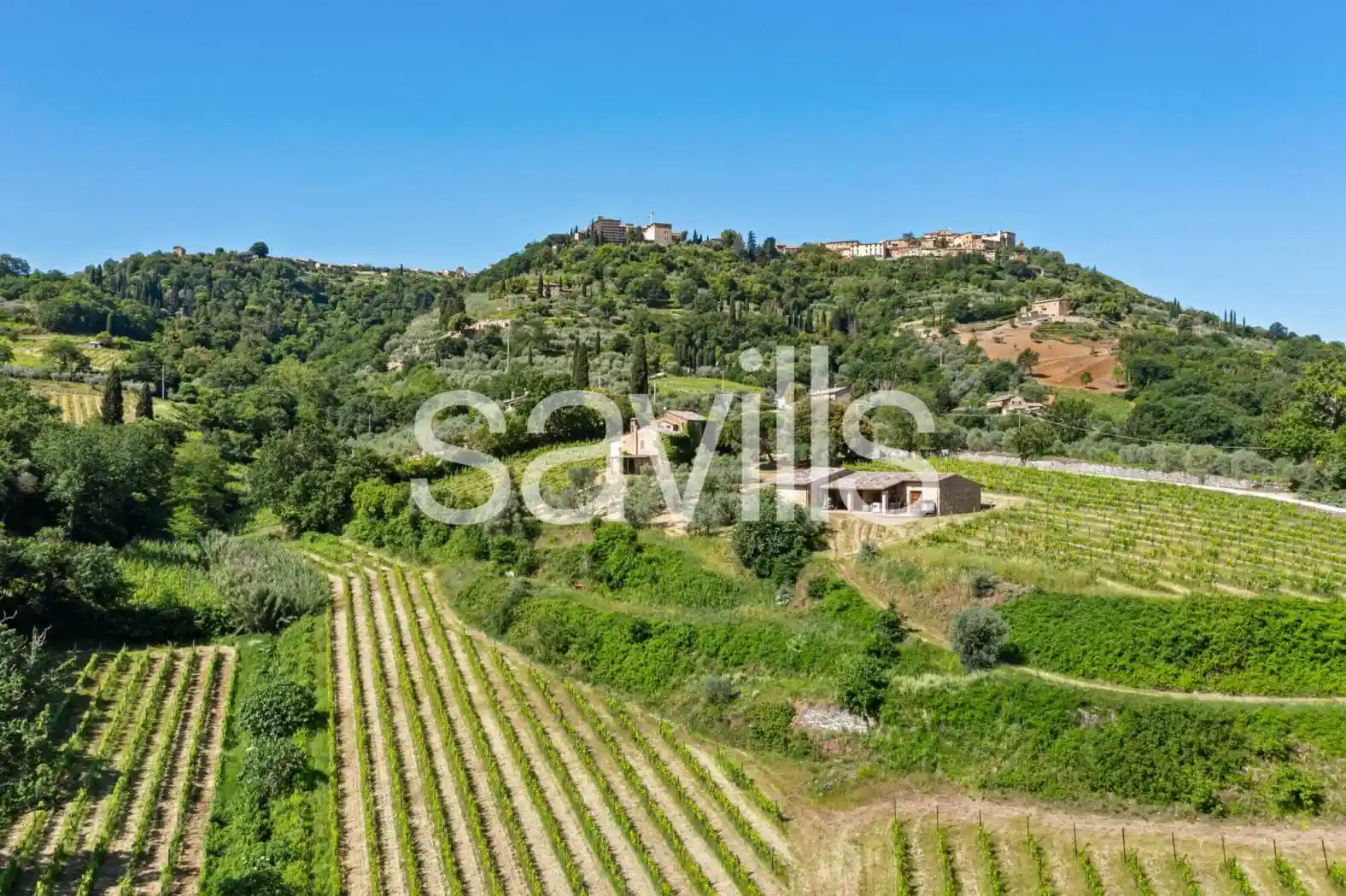 Rustico - Casale in vendita a Montalcino