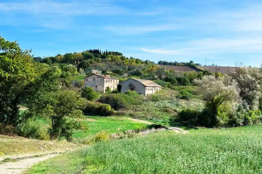 Rustico - Casale in vendita a Avigliano Umbro