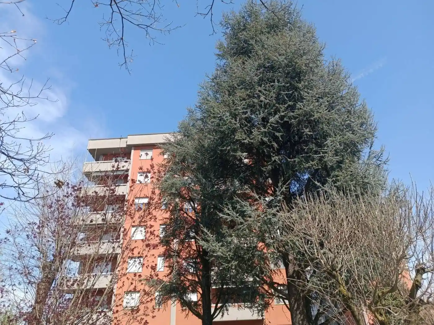 Appartamento in vendita a Peschiera Borromeo