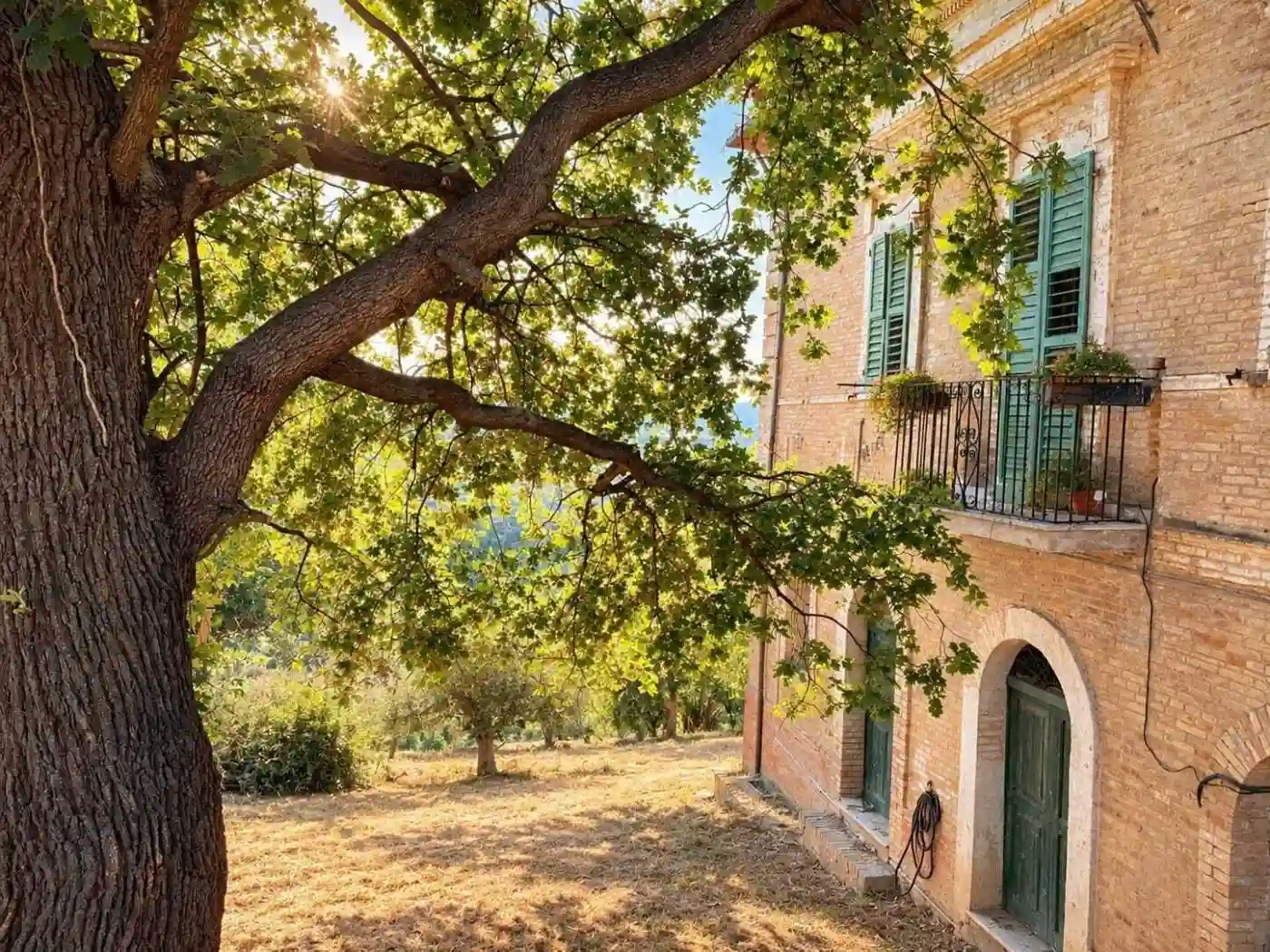 Rustico - Casale - foto 2