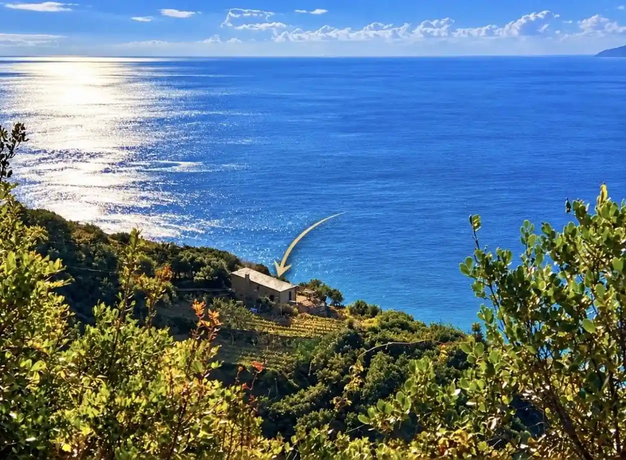 Rustico - Casale in vendita a Riomaggiore