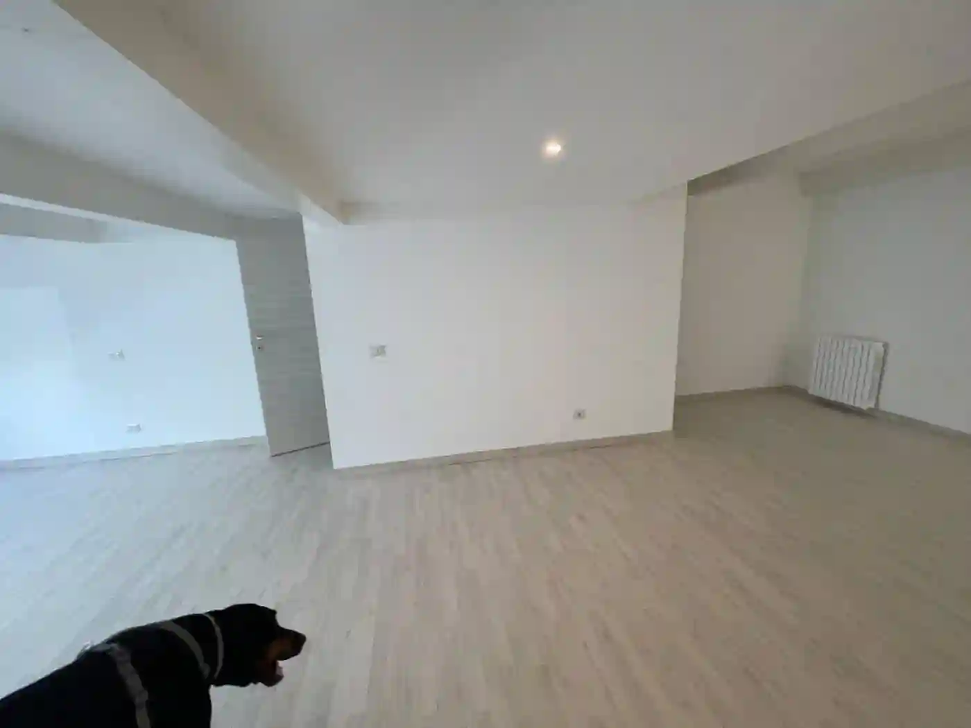 Loft - foto 4