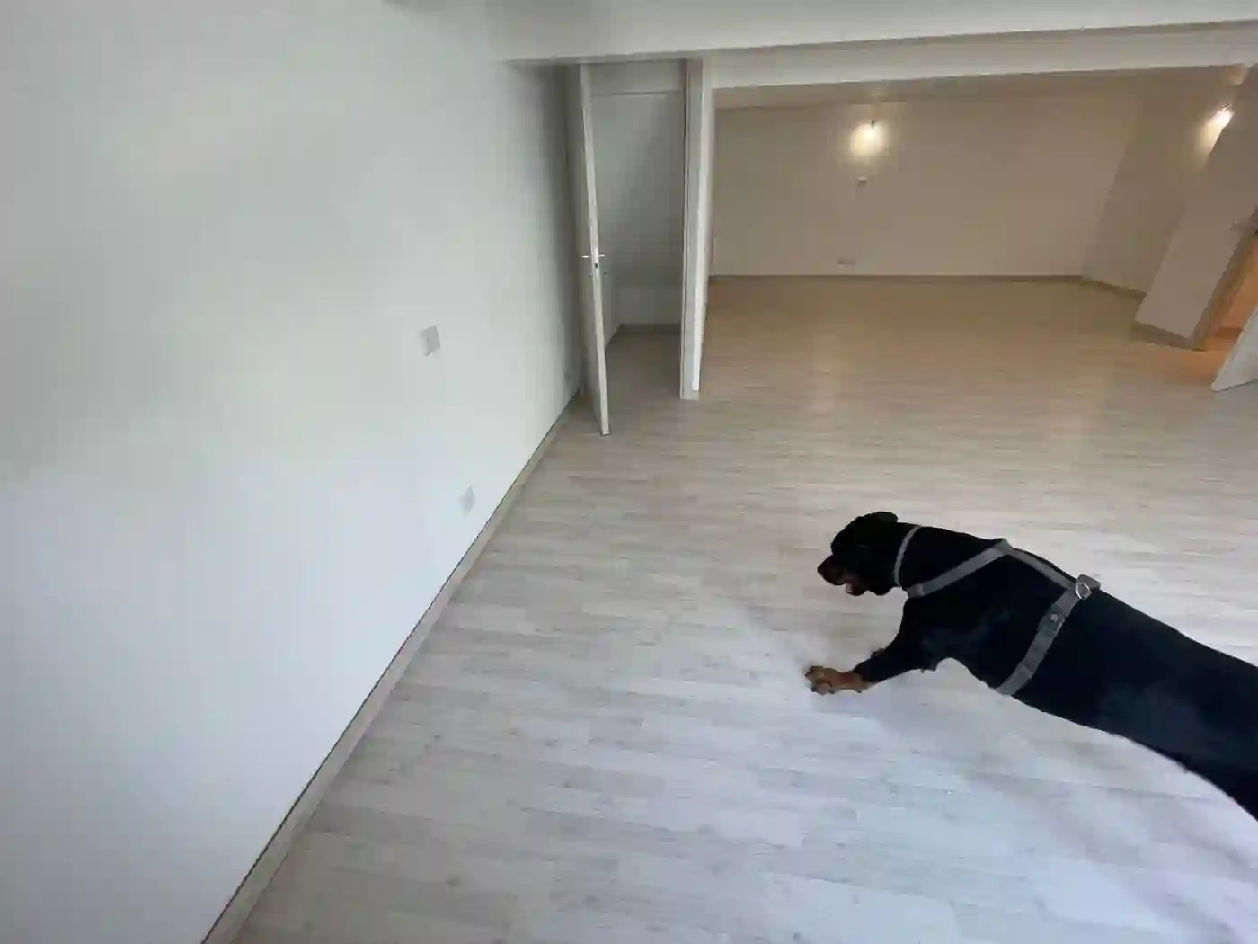 Loft - foto 5