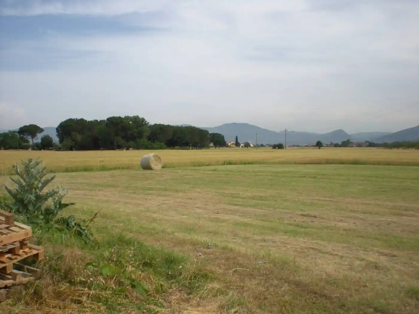 Rustico - Casale in vendita a Lucca