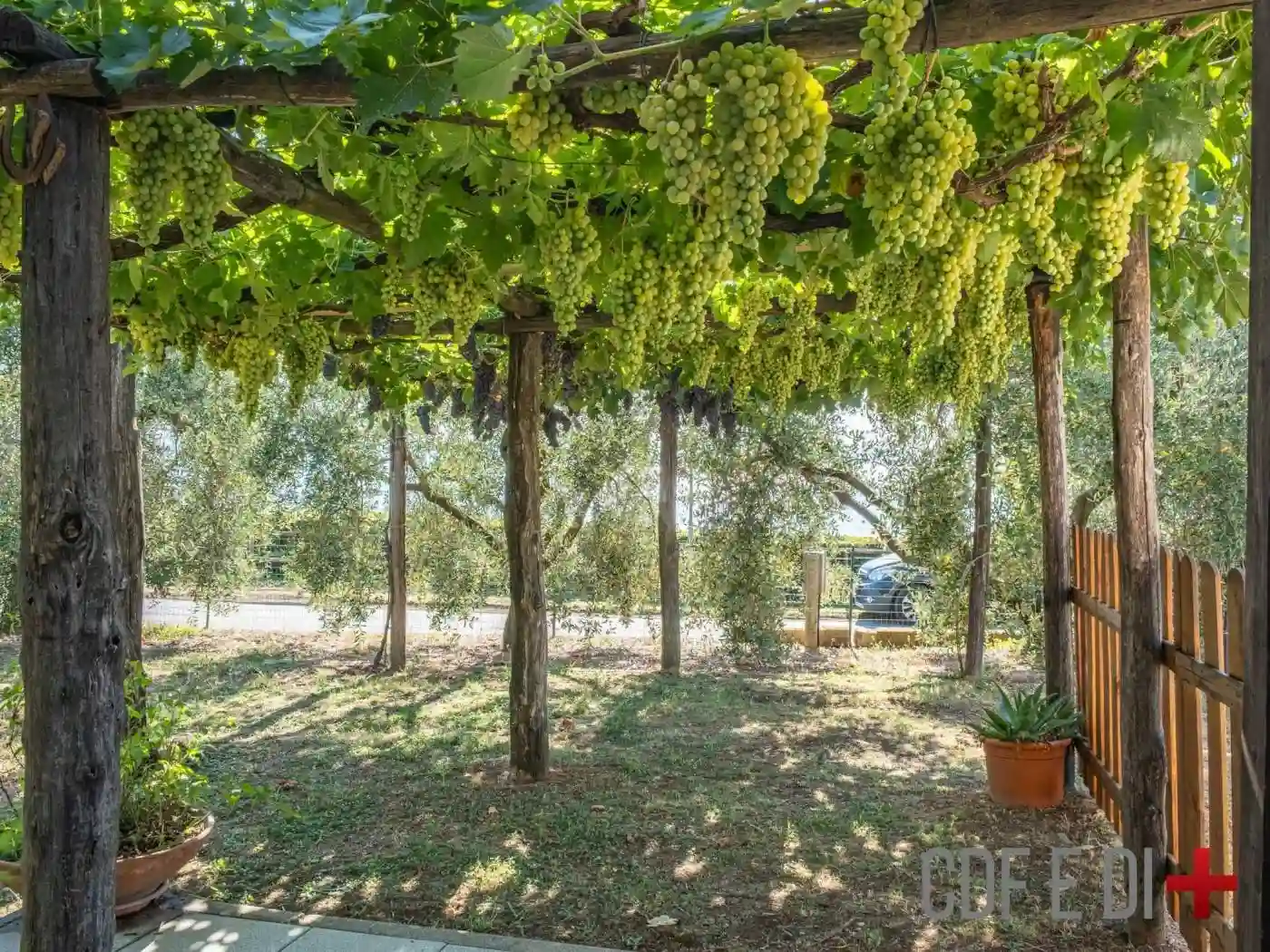 Rustico - Casale - foto 5