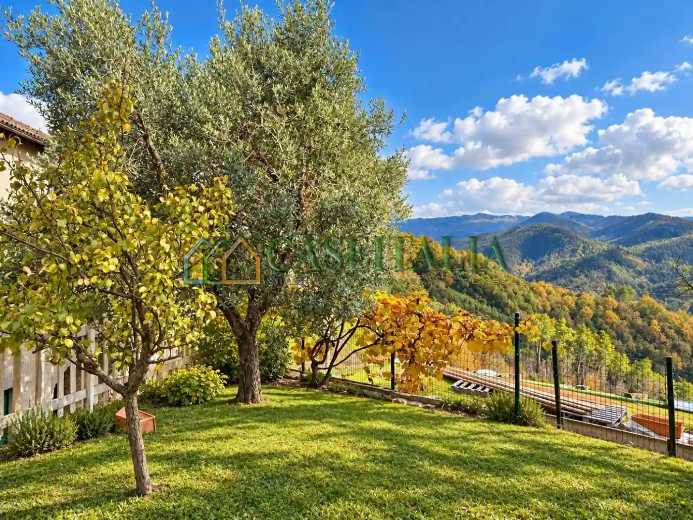 Villa - foto 5