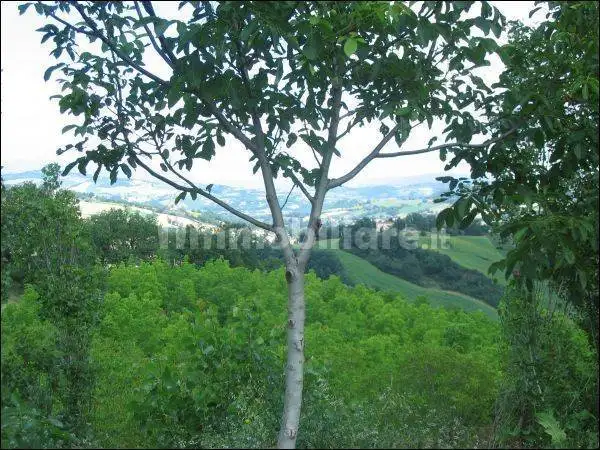 Villa bifamiliare Strada Provinciale 49, Camporotondo di Fiastrone - foto 5