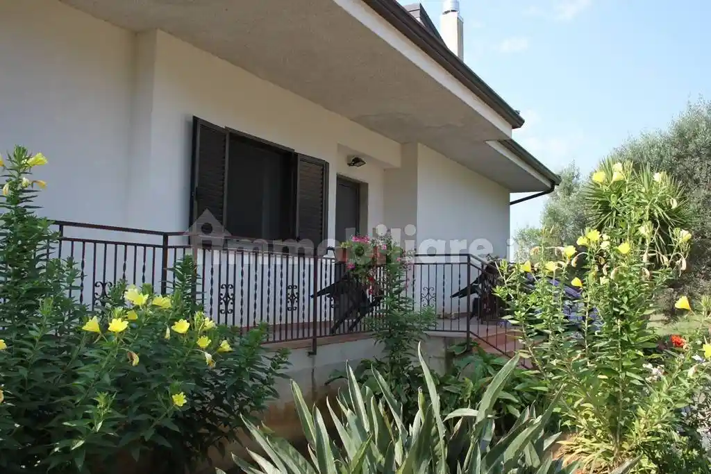 Villa unifamiliare visciliosa, Buonvicino - foto 3