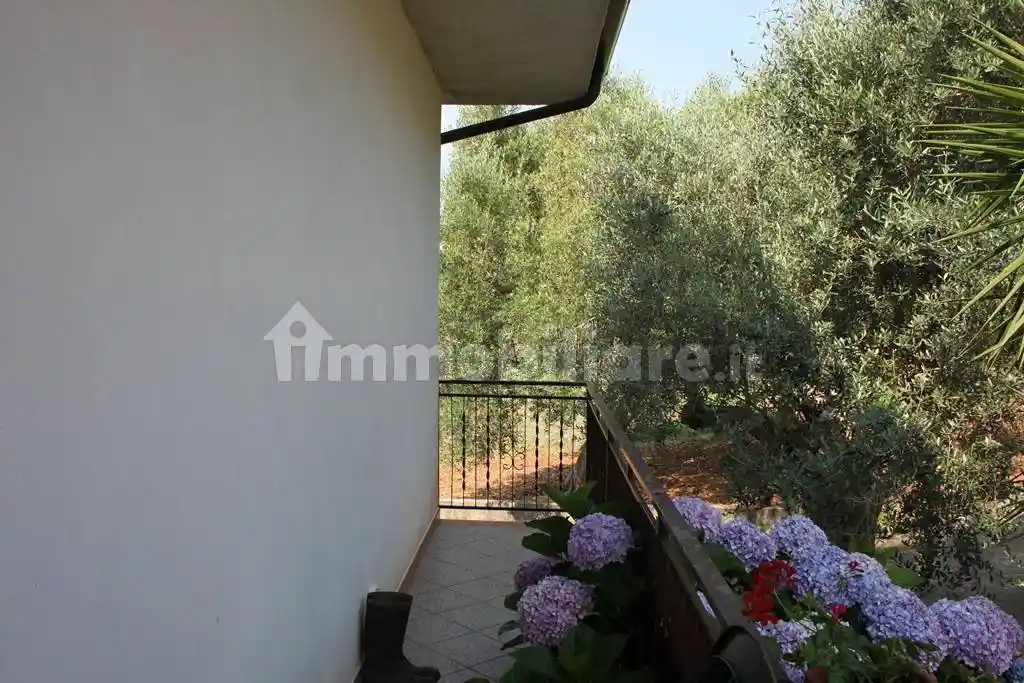 Villa unifamiliare visciliosa, Buonvicino - foto 4