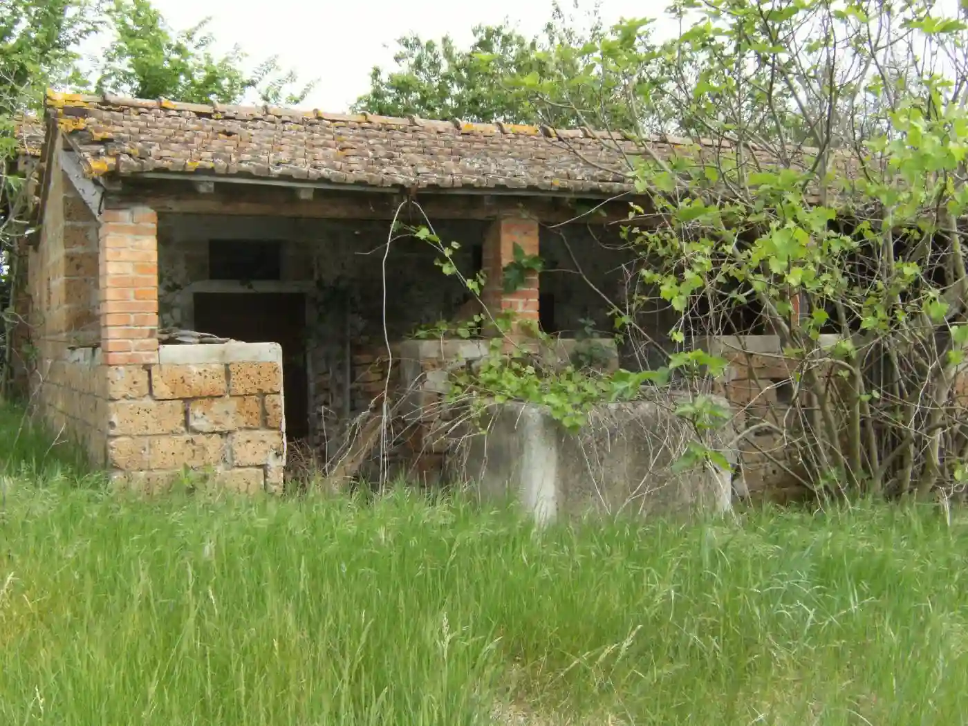 Rustico - Casale - foto 4