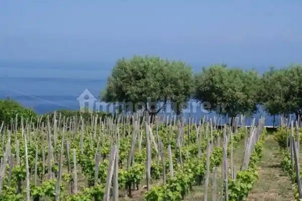 Villa unifamiliare Strada Statale 522, Zambrone - foto 5