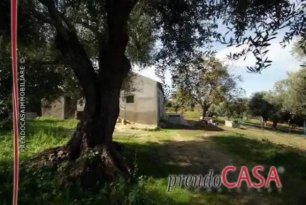 Rustico - Casale in vendita a Briatico
