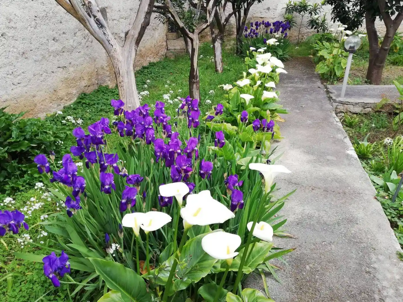 Villa in vendita a Adelfia