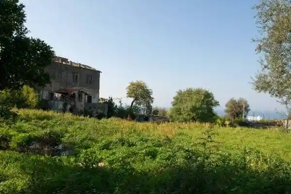 Palazzo - Edificio - foto 4