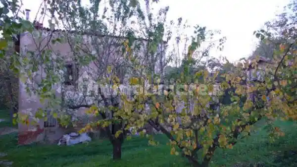 Rustico - Casale in vendita a Faenza