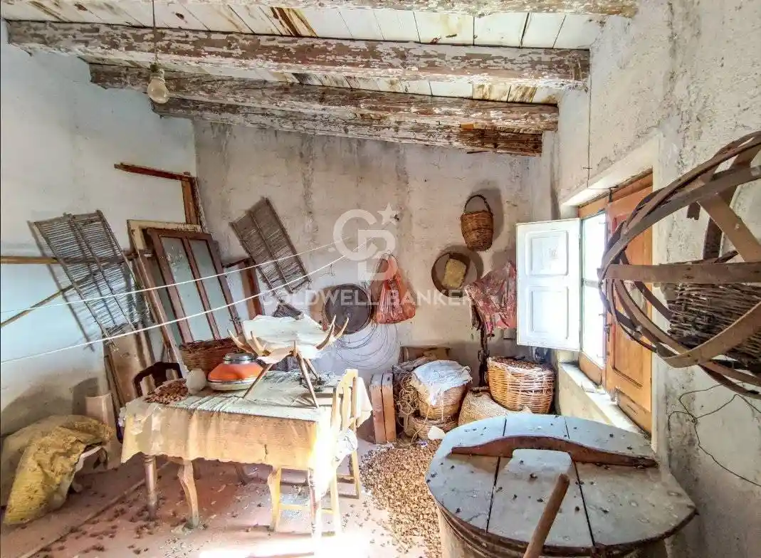 Palazzo - Edificio - foto 4