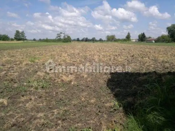 Cascina via Roma, Centro, Badia Pavese - foto 2