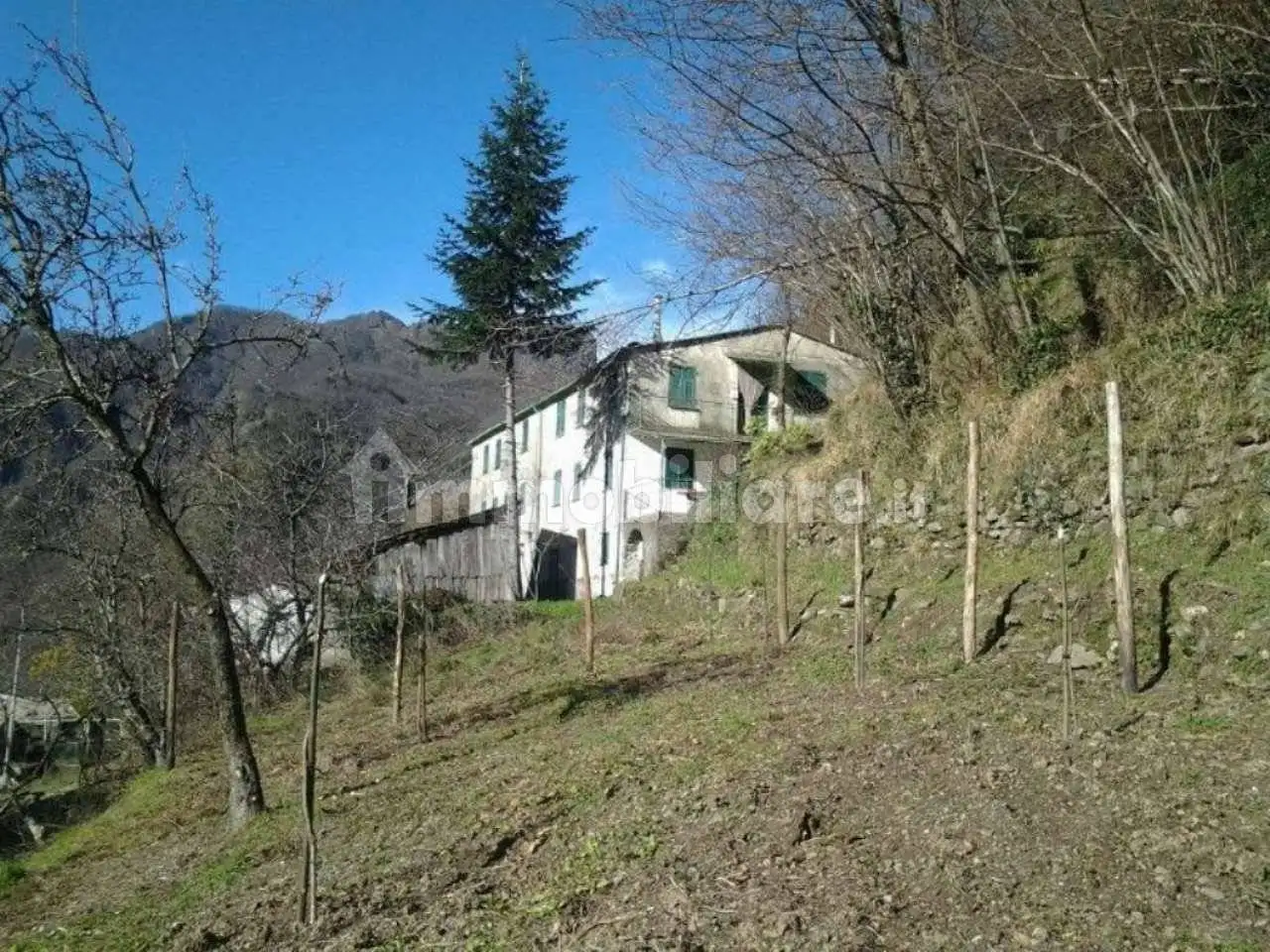 Casa indipendente in vendita a Favale di Malvaro