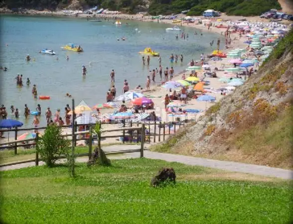 Casa indipendente in vendita a Villanova Monteleone