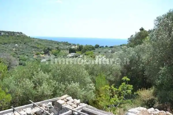 Rustico - Casale in vendita a Corsano