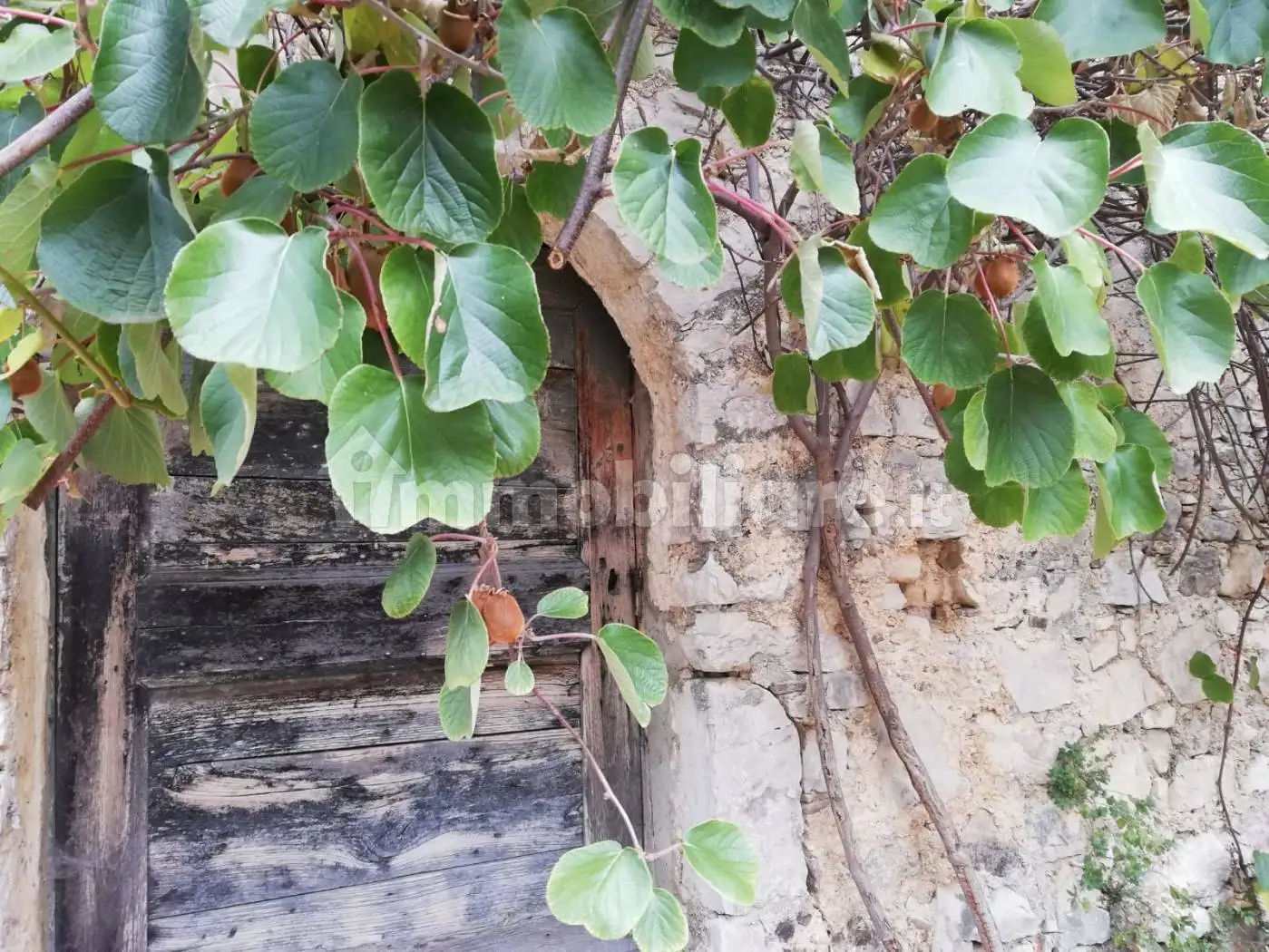 Casale Strada Provinciale Aquilonia 95, Carpinone - foto 3