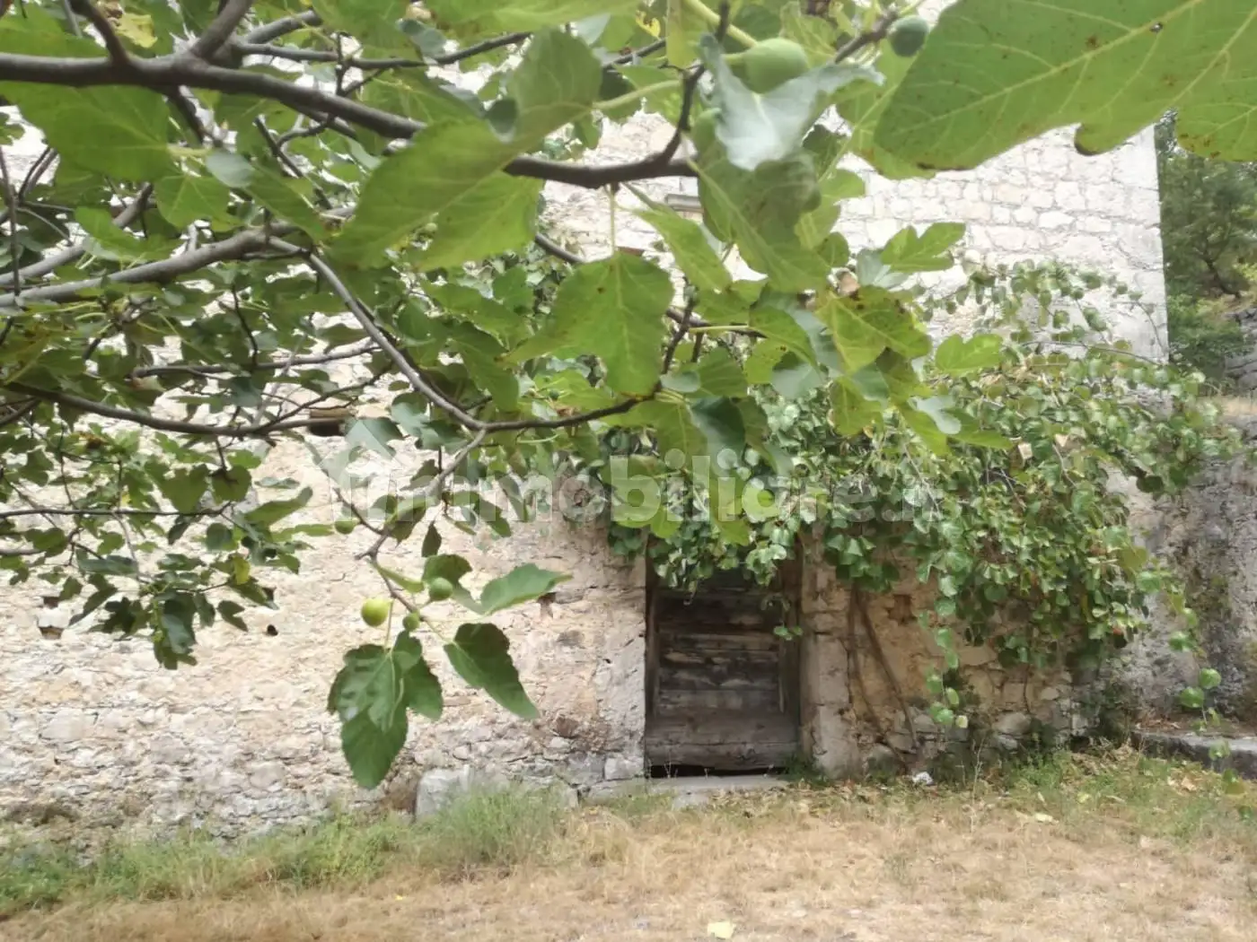 Casale Strada Provinciale Aquilonia 95, Carpinone - foto 4