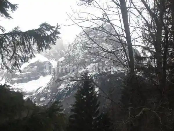 Appartamento in vendita a Pinzolo