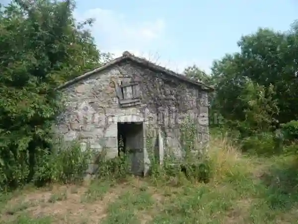 Rustico - Casale - foto 2