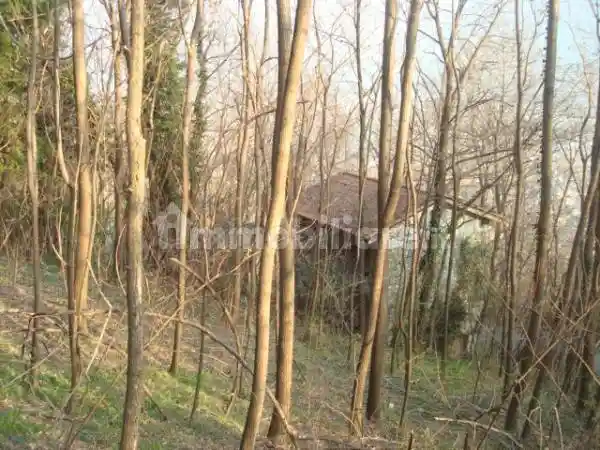 Rustico via Provinciale Piussogno - Cercino, Belenasco, Cercino - foto 4