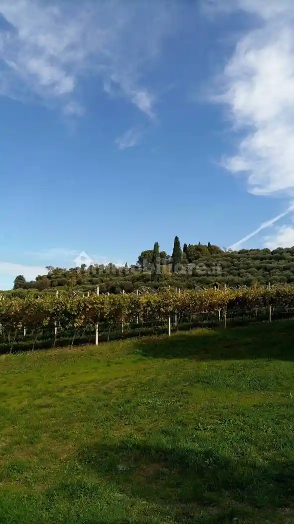 Appartamento in vendita a Castelnuovo del Garda