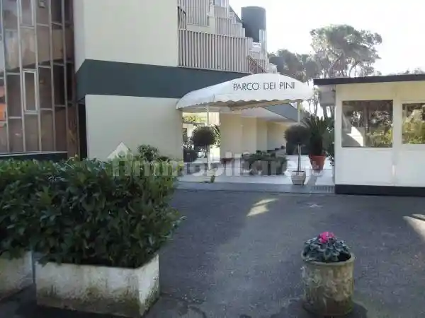 Loft in affitto a Roma