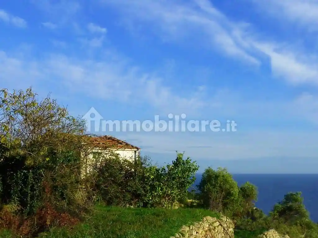 Rustico - Casale in vendita a Bordighera