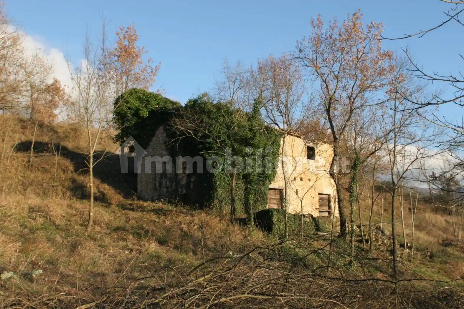 Rustico - Casale in vendita a Cantalice