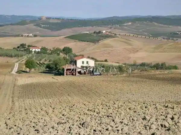 Rustico - Casale in vendita a Cinigiano