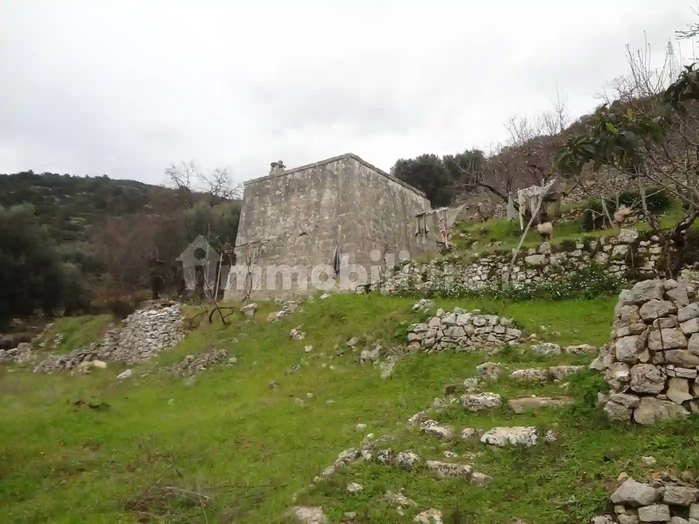 Rustico - Casale - foto 5