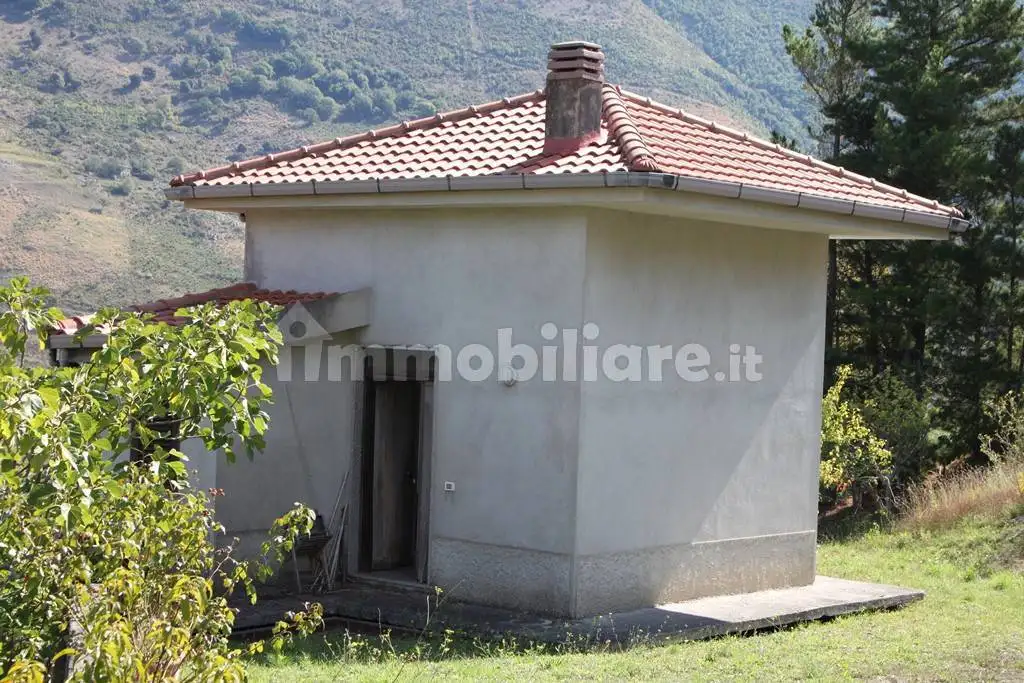 Rustico - Casale in vendita a Papasidero