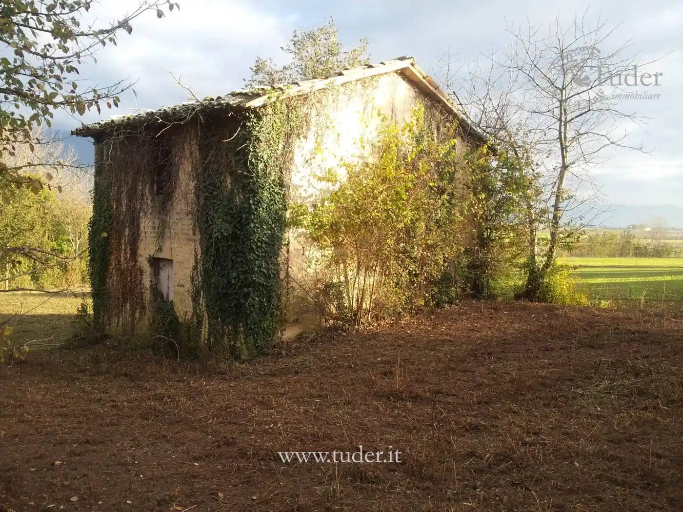 Rustico - Casale in vendita a Montefalco
