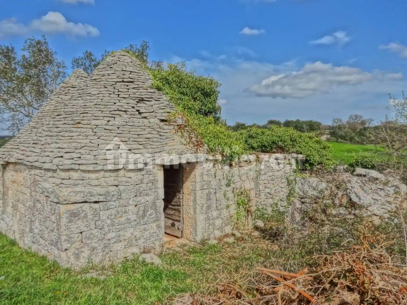 Rustico - Casale in vendita a Alberobello
