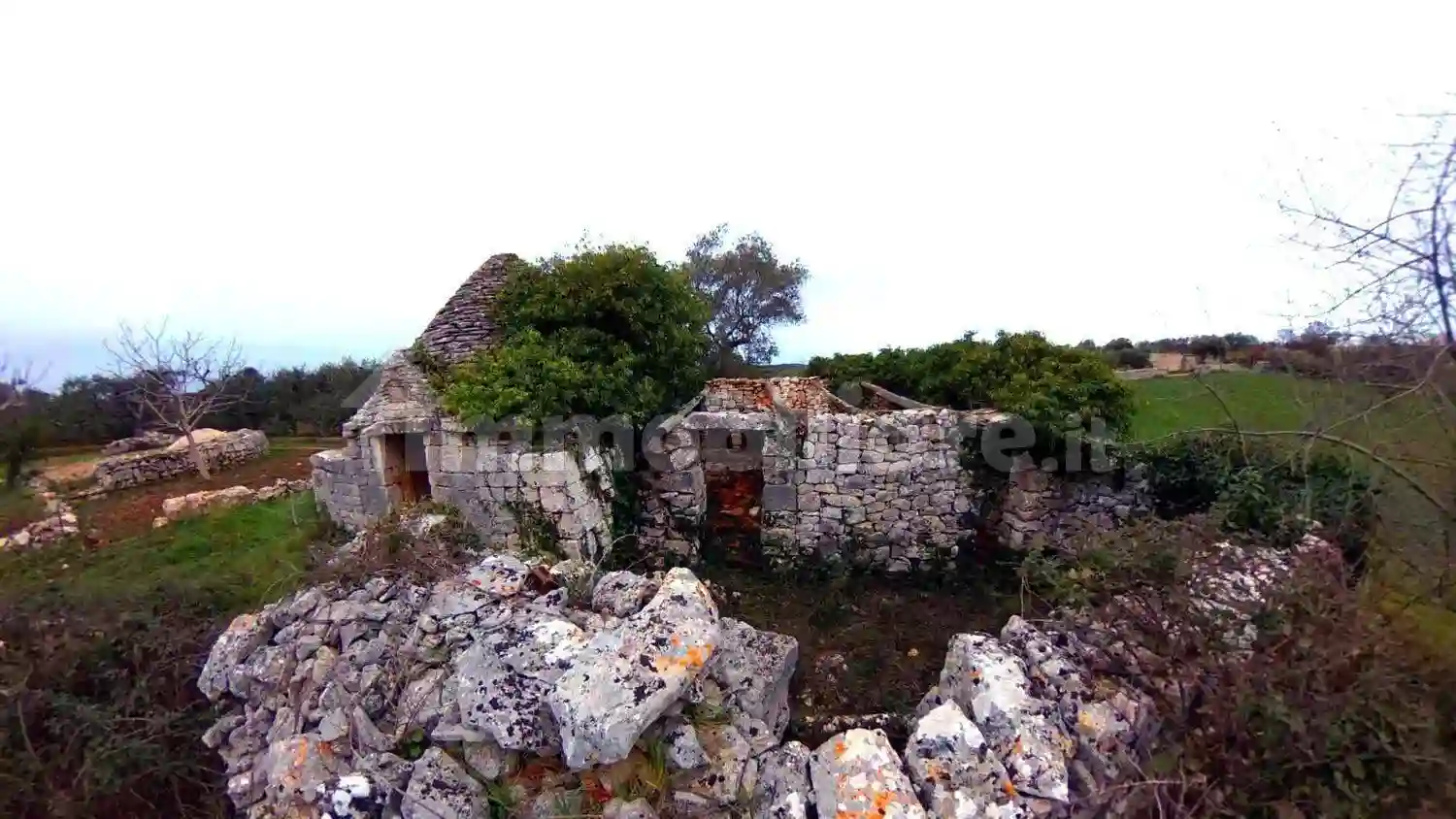 Rustico - Casale - foto 2